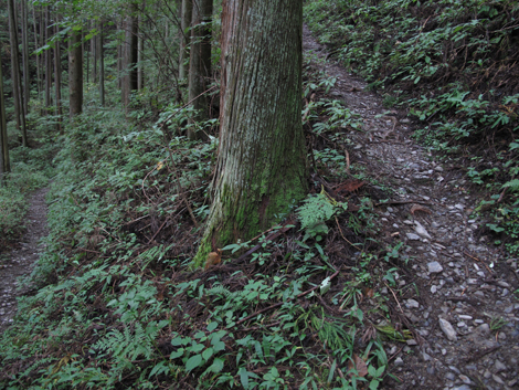 20181016hike (15)